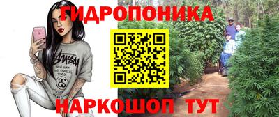 spice Изобильный